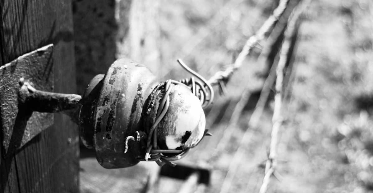 Auschwitz-Birkenau Ritiro Inter-religioso e Inter-confessionale di Testimonianza